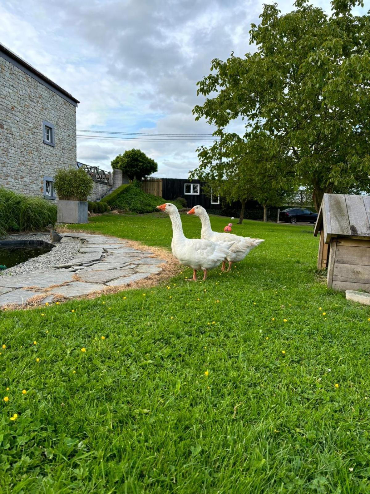 Le Clos Des Bansions Séjour chez l'habitant