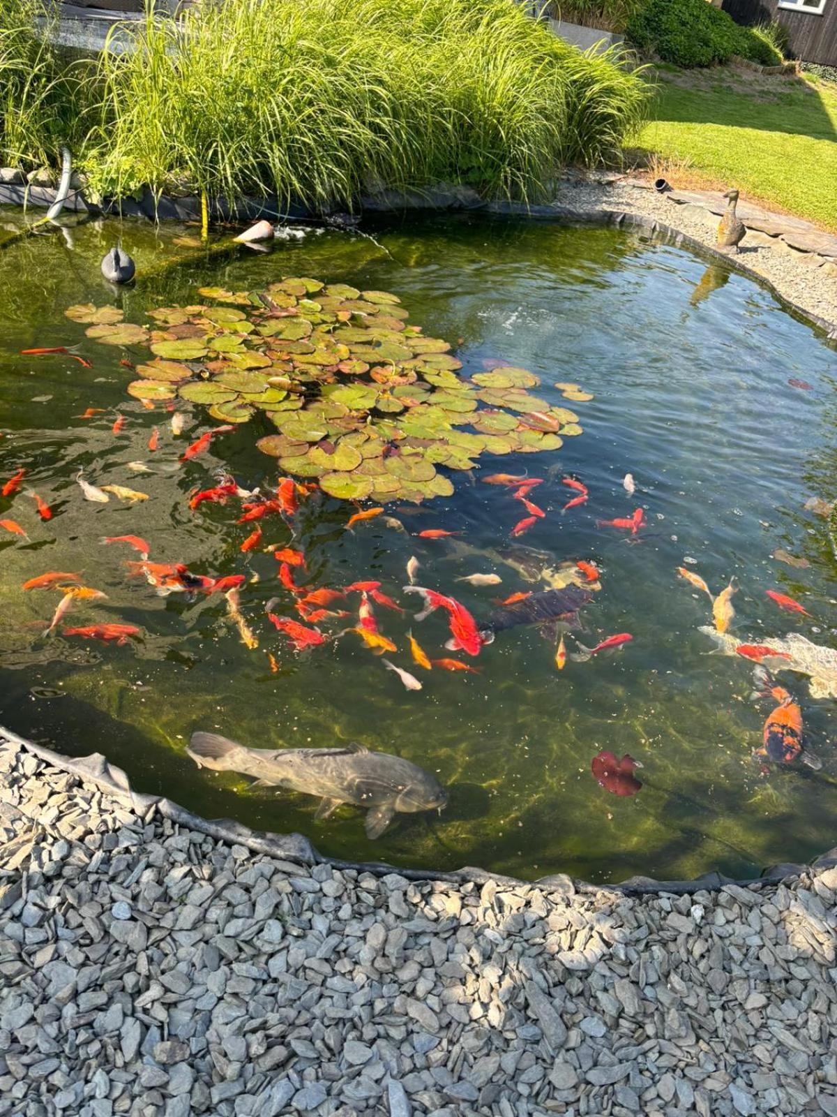 Séjour chez l'habitant Le Clos Des Bansions *